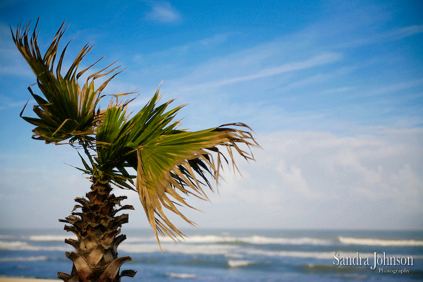 Best Wedding Photos From The Shores, Daytona Beach - Sandra Johnson (SJFoto.com)